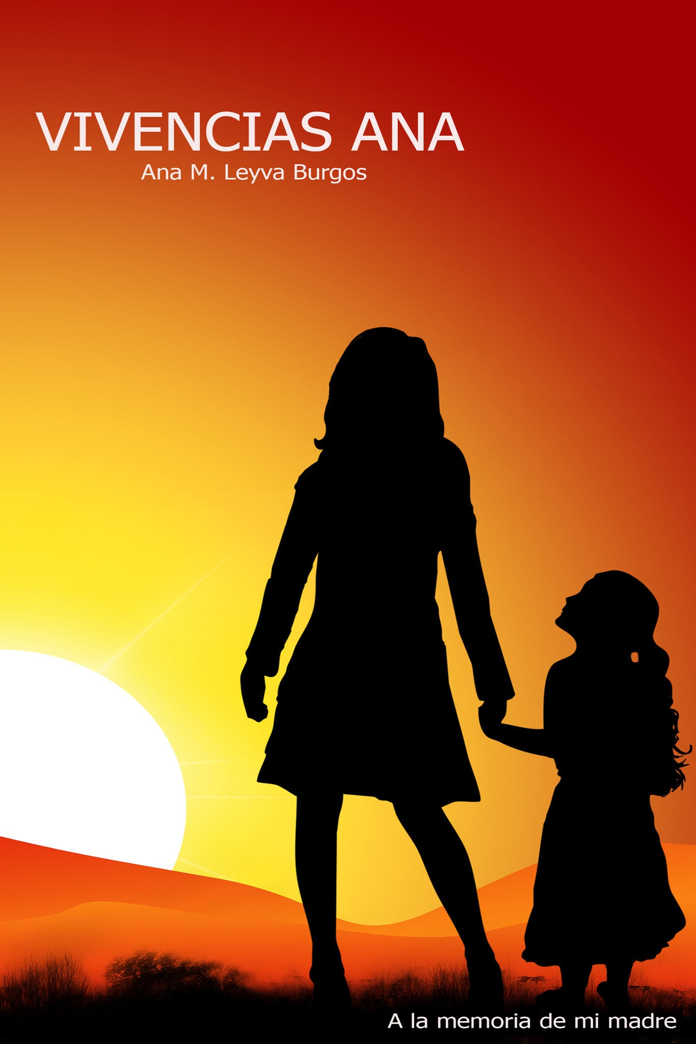 Vivencias Ana - ibukku, LLC