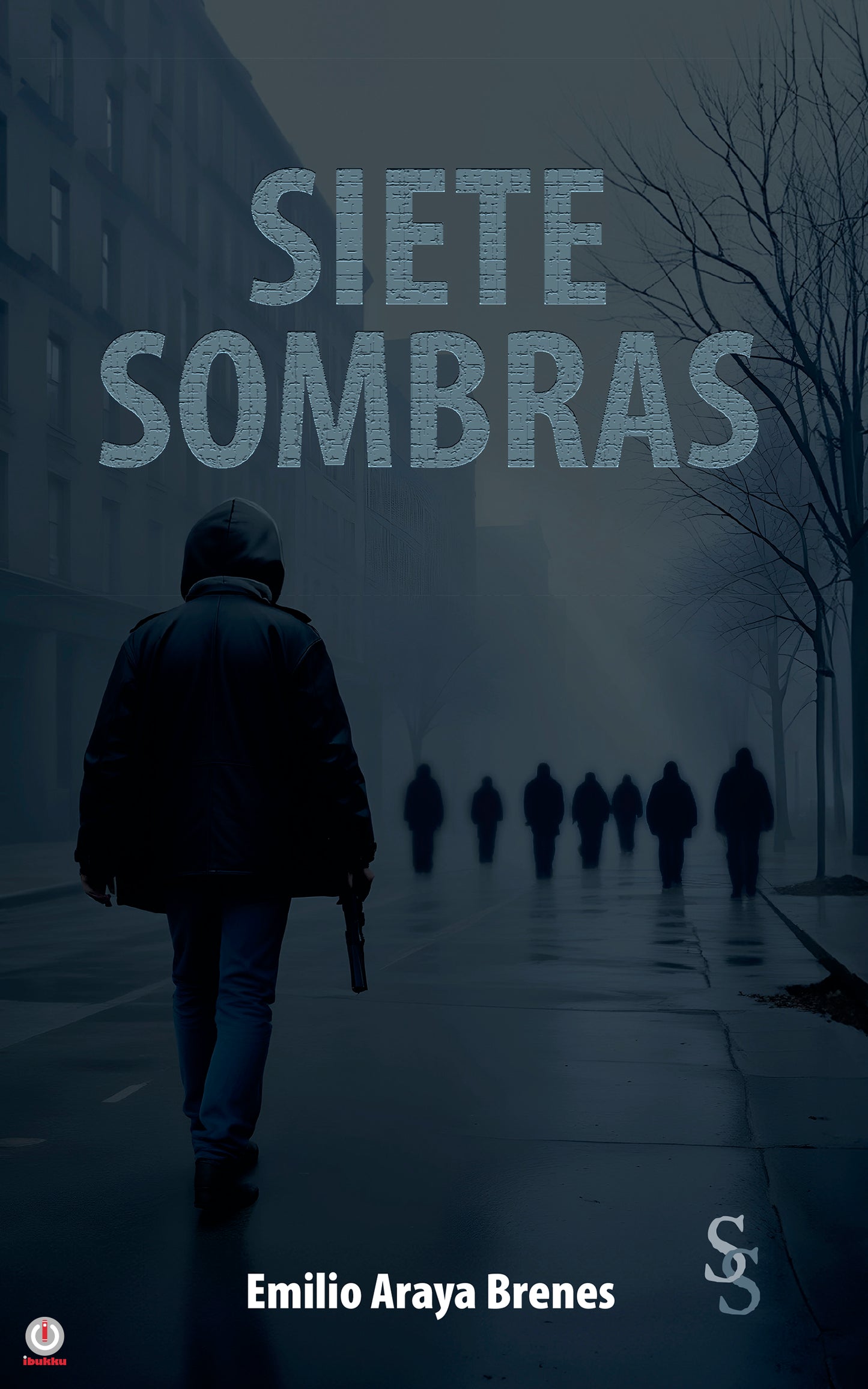 Siete Sombras (Paperback)